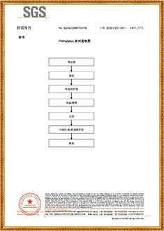 塑鋼帶SGS測試報告（中文版）